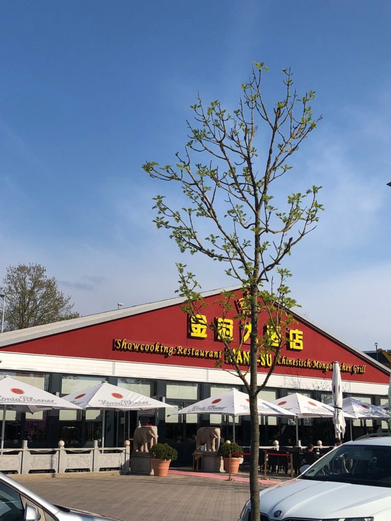 Chinesisches Buffetrestaurant Wang-Su